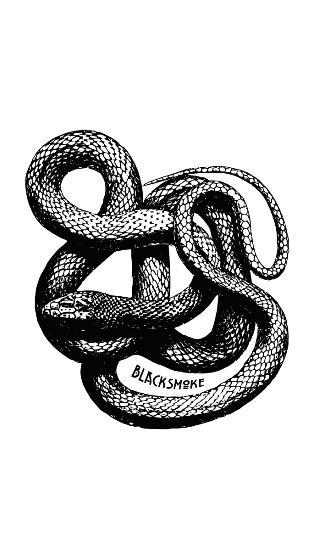 Remera Black Smoke - Víbora